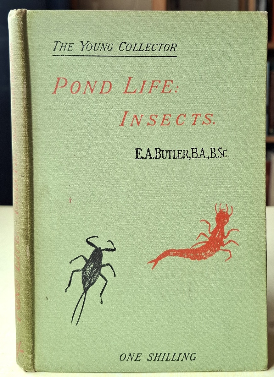 Pond Life: Insects. (The Young Collector series)