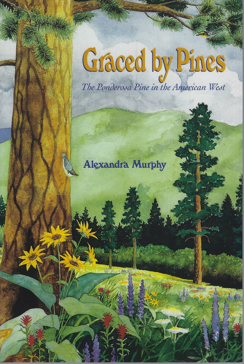 Image for Graced by Pines: The Ponderosa Pine in the American West Graced by Pines: The Ponderosa Pine in the American West