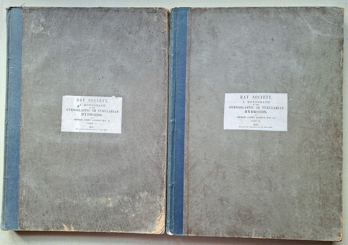 A Monograph pf the Gymnoblastic or Tubularian Hydroids - two volumes