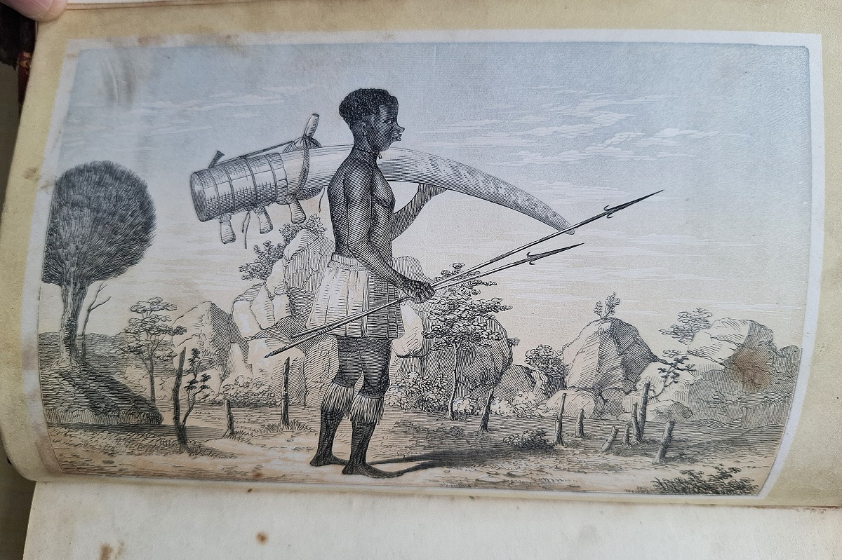 The Lake Regions of Central Africa - a picture of exploration