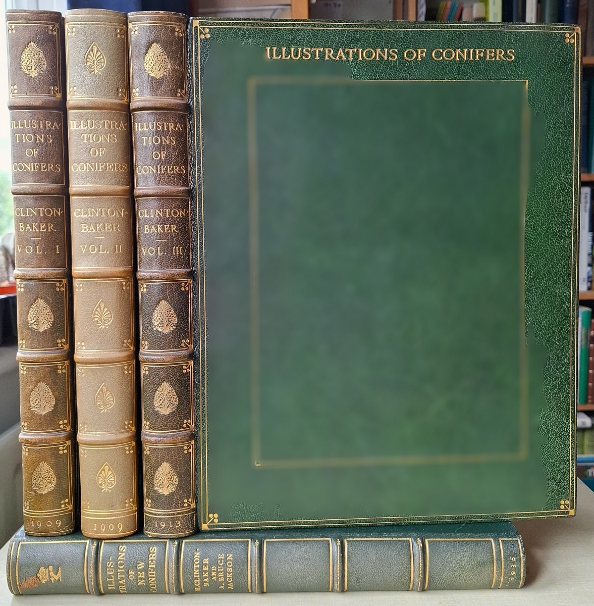 Illustrations of British Conifers - Three volumes. + Illustrations of New Conifers