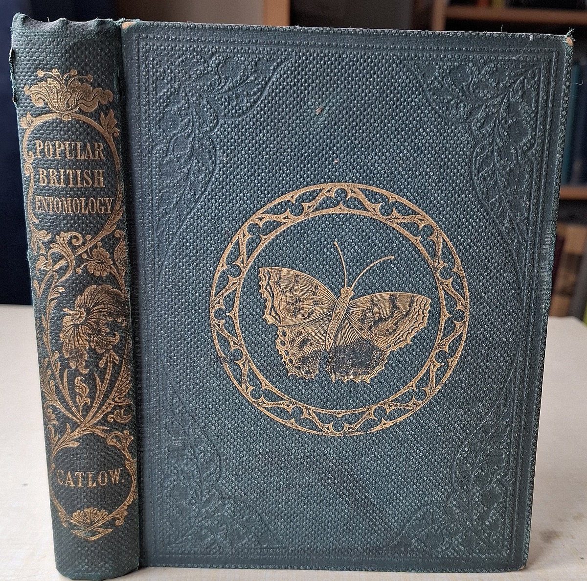 Popular British Entomology; containing a familiar and technical description of the insects most common to the localities of the British Isles
