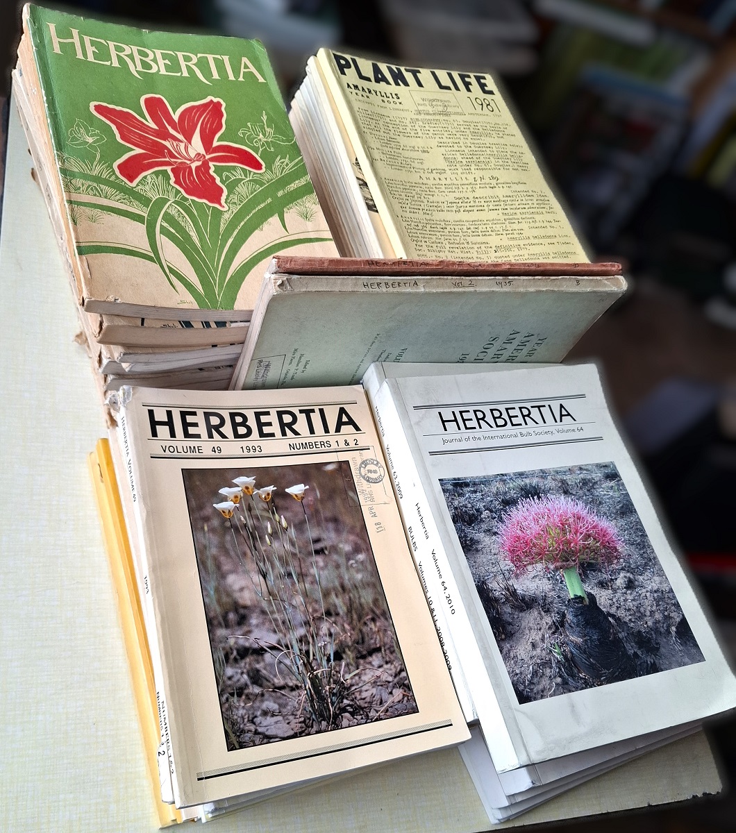 Image for A large collection : Herbertia, Plant Life, Amaryllis Yearbook (between 1934 and 2010) A large collection : Herbertia, Plant Life, Amaryllis Yearbook (between 1934 and 2010)