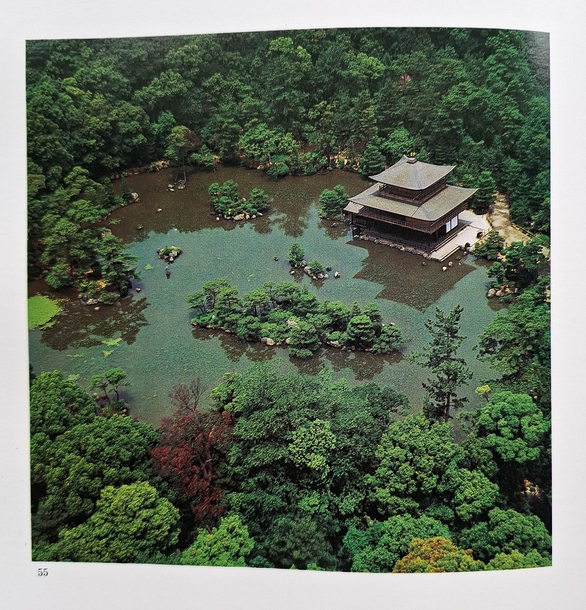 日本の庭 AN APPROACH TO NATURE 022474_1.jpg