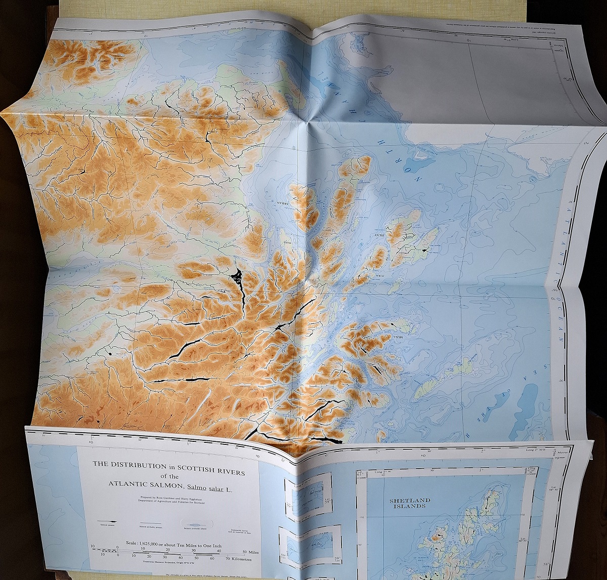 Image for A Map of the Distribution in Scottish Rivers of the Atlantic Salmon, Salmo salar L. A Map of the Distribution in Scottish Rivers of the Atlantic Salmon, Salmo salar L.