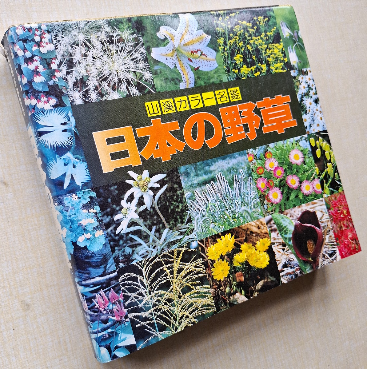 Wild Flower of Japan Nihon no yaso (Rosemary Verey's copy)