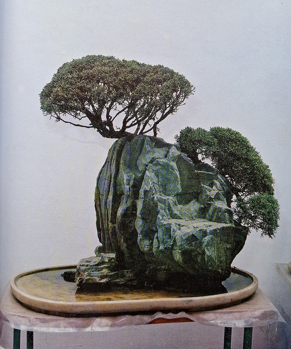 Image for Chinese Bonsai - Penjing Chinese Bonsai - Penjing
