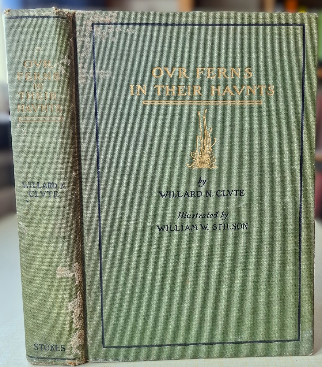 Our Ferns in Their Haunts - a guide to all the native species