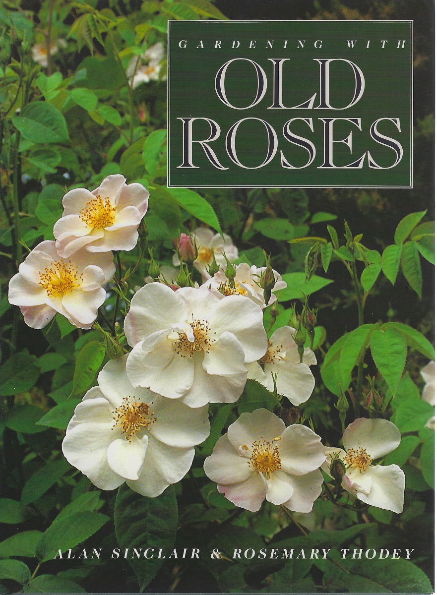 Gardening With Old Roses