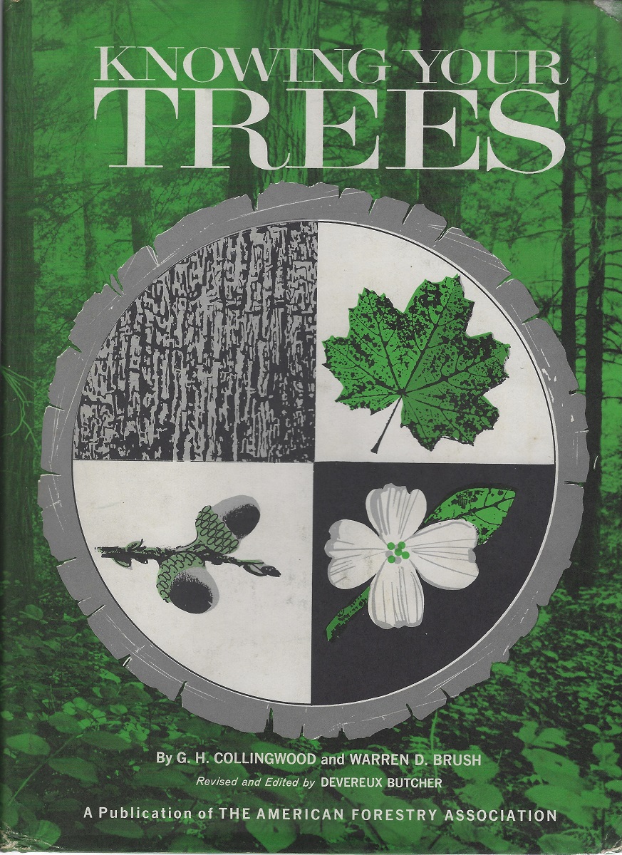 Knowing Your Trees