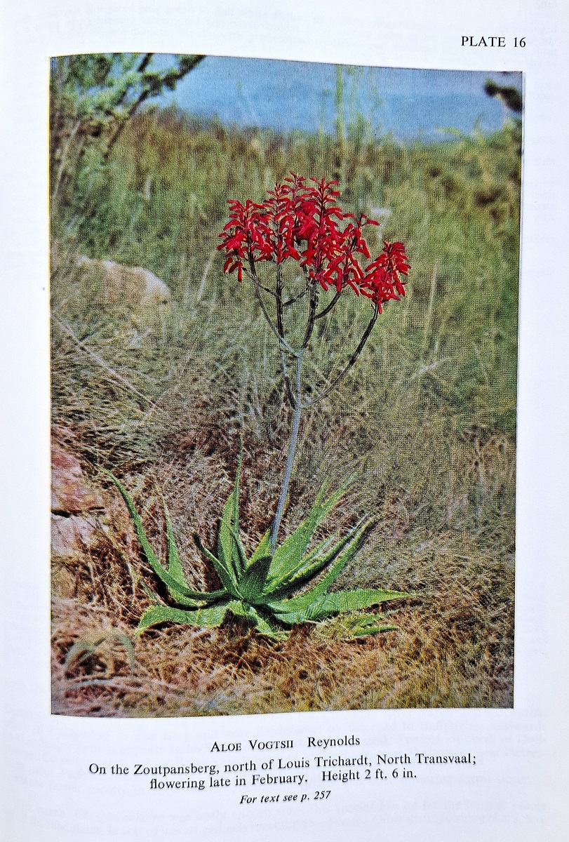 The Aloes of South Africa