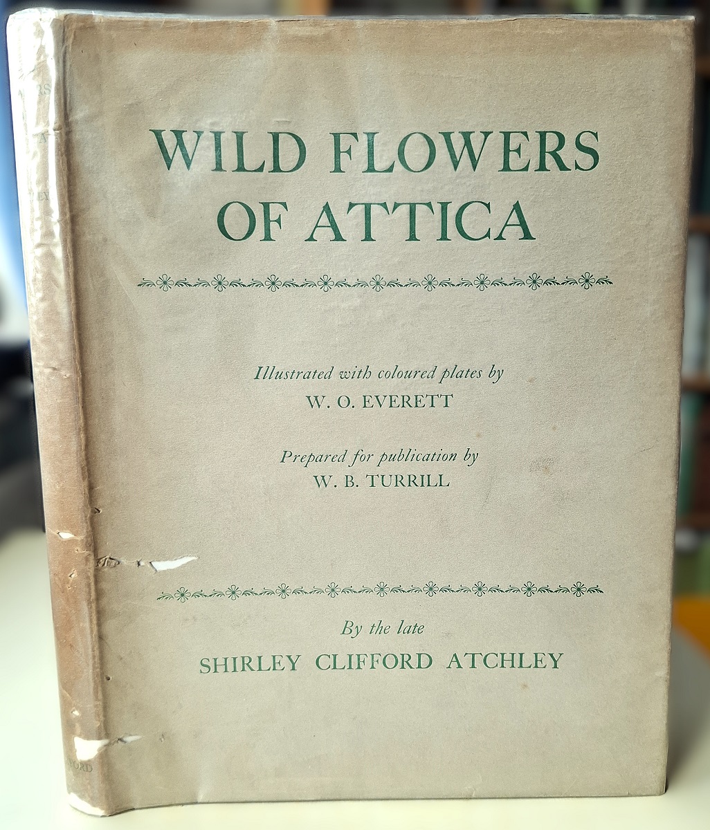Wild Flowers of Attica