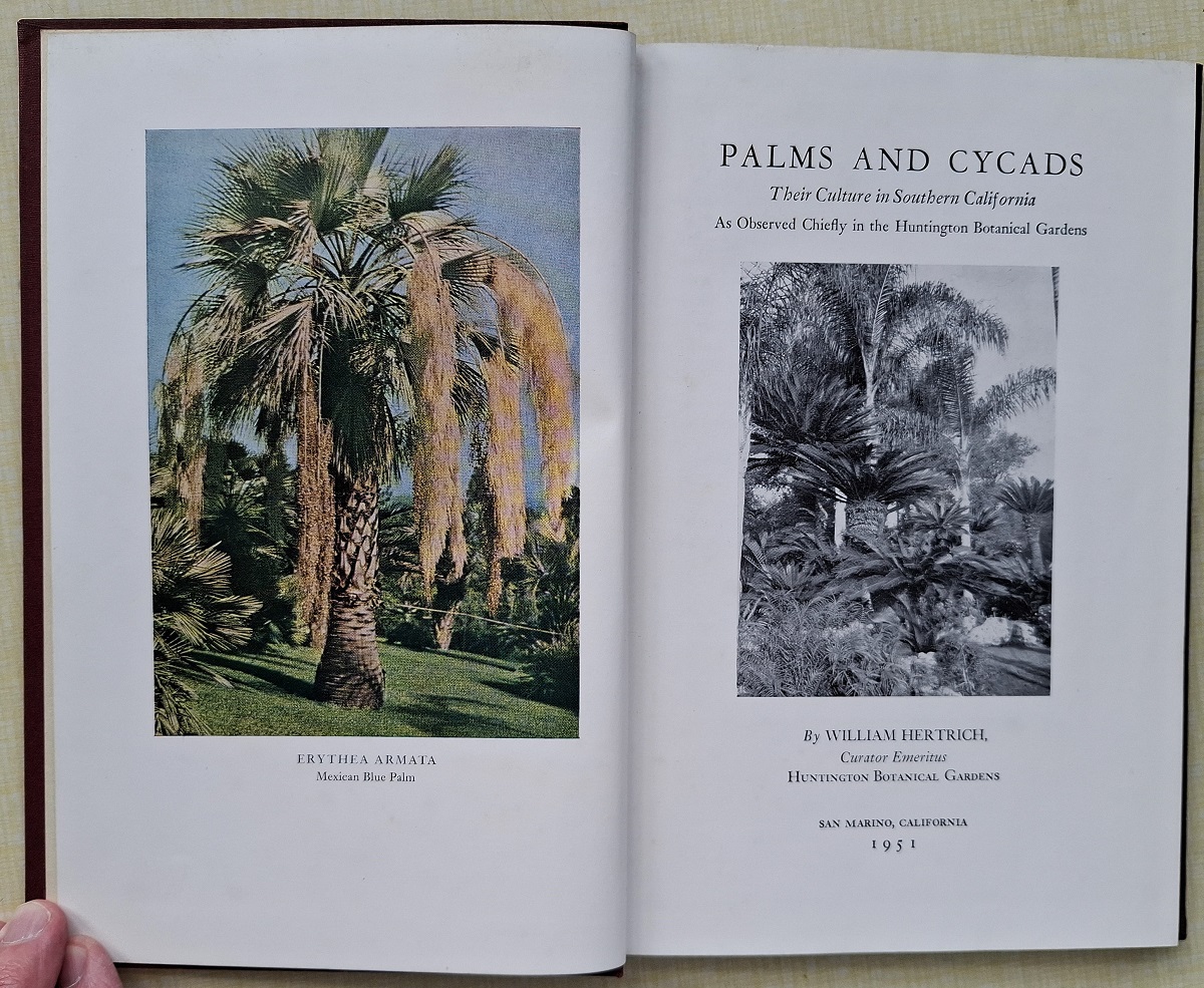 Palms and Cycads - their culture in Southern California, as observed chiefly in the Huntington Botanical Gardens