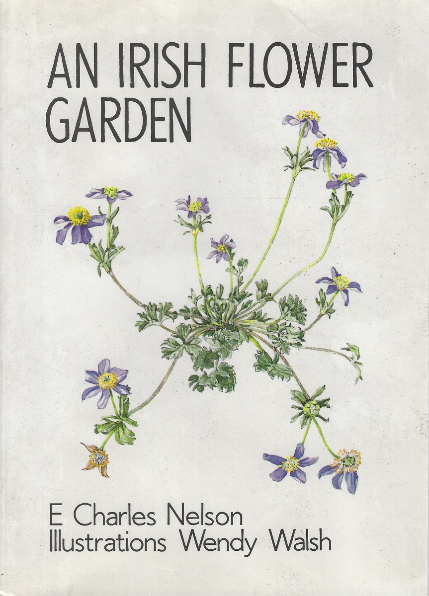 An Irish Flower Garden - the histories of some of our garden plants