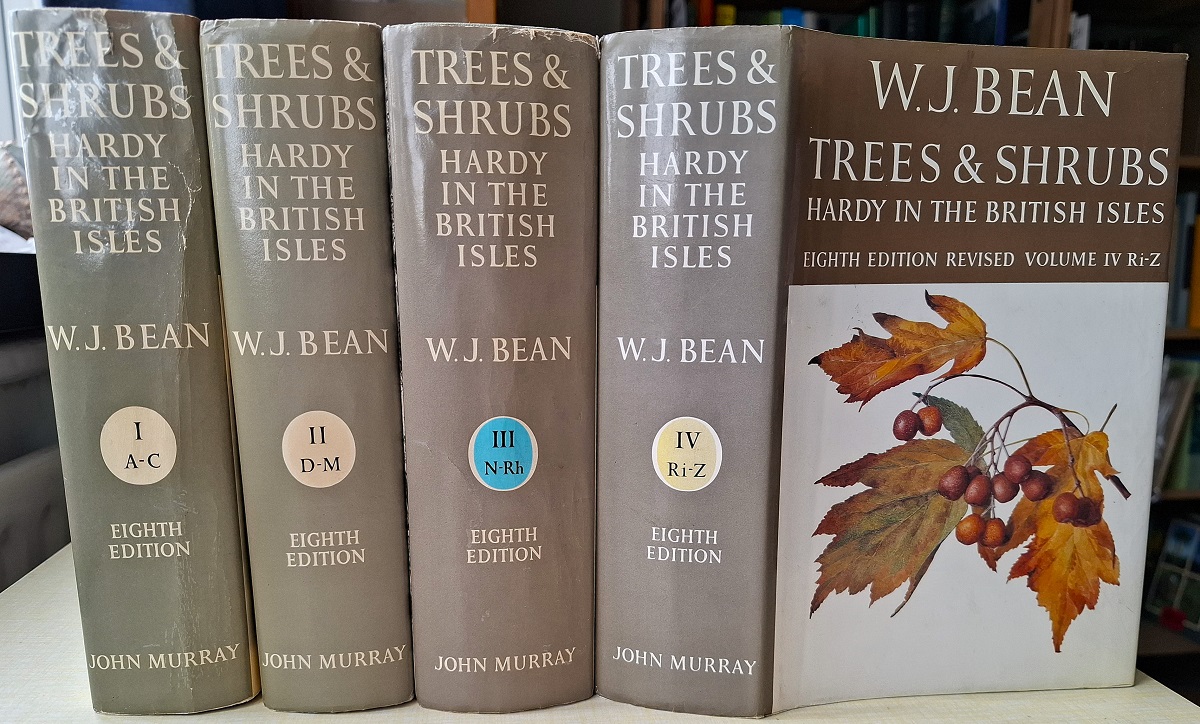 Trees and Shrubs Hardy in the British Isles - Four volumes. Eighth edition.