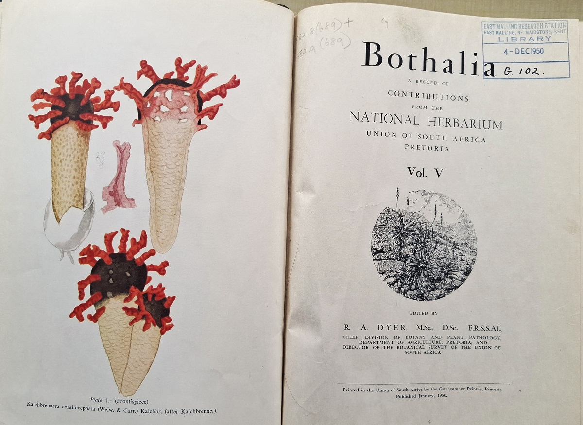 The South African Fungi and Lichens to the end of 1945