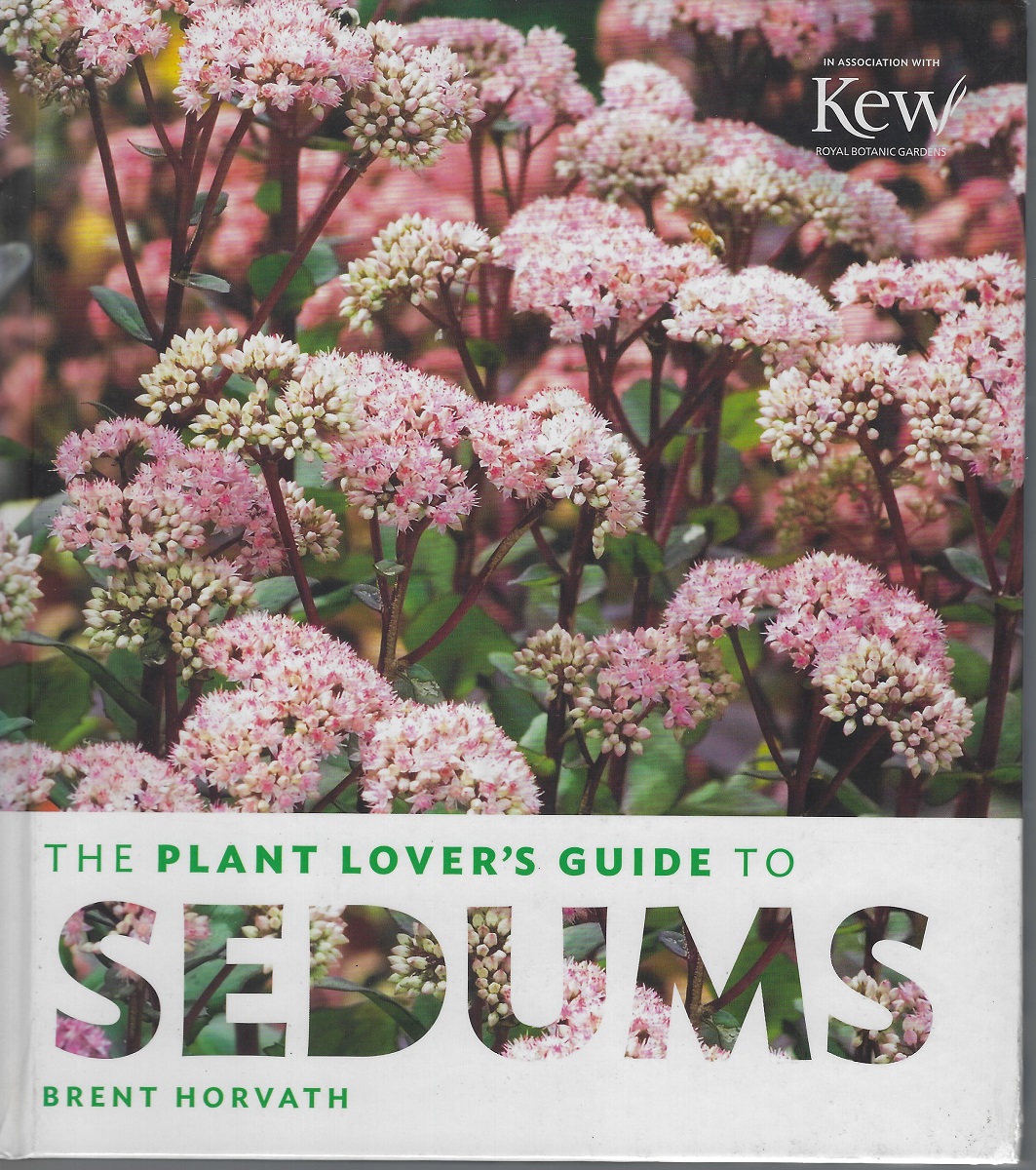 The Plant Lover's Guide to Sedums