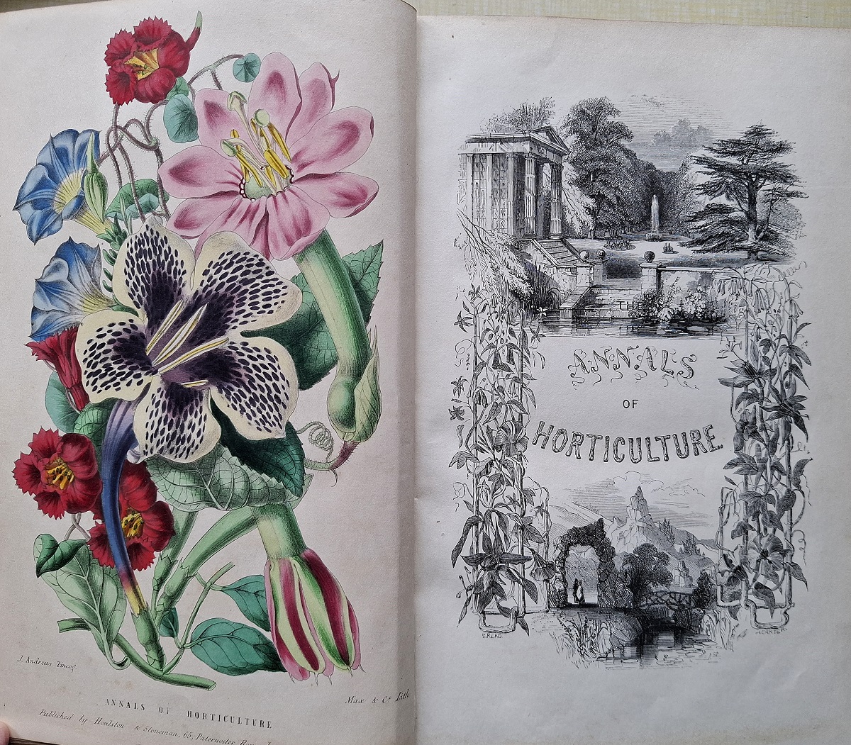 Annals of Horticulture and Year-Book of Information [Four volumes]