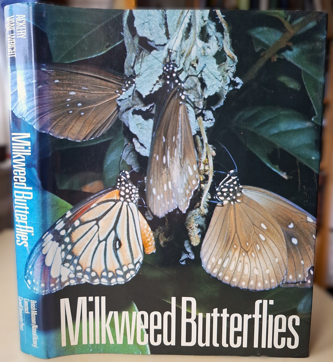 Milkweed butterflies: their cladistics and biology. Being an account of the natural history of the Danainae, a subfamily of the Lepidoptera, Nymphalidae