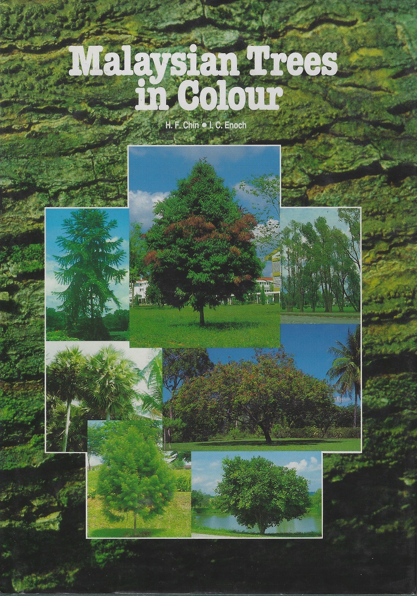Image for Malaysian Trees in Colour Malaysian Trees in Colour