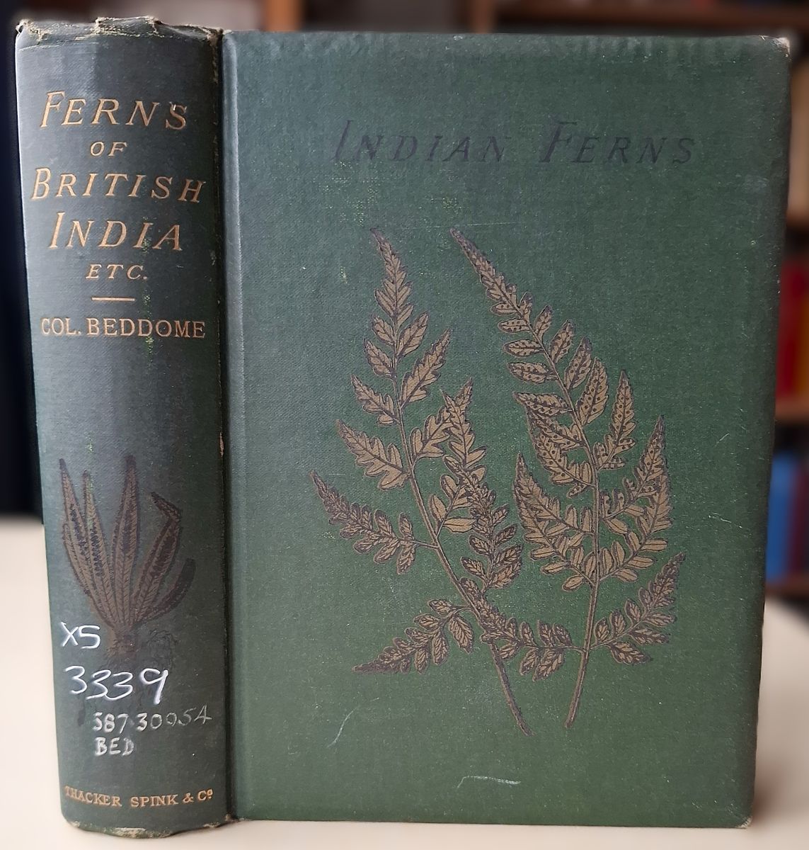 Handbook to the Ferns of British India, Ceylon and the Malay Peninsula