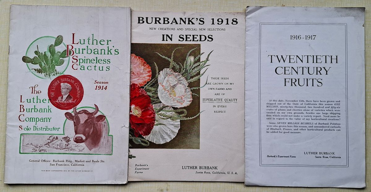 Three Catalogues - Fruits, Seeds, Spineless cactus
