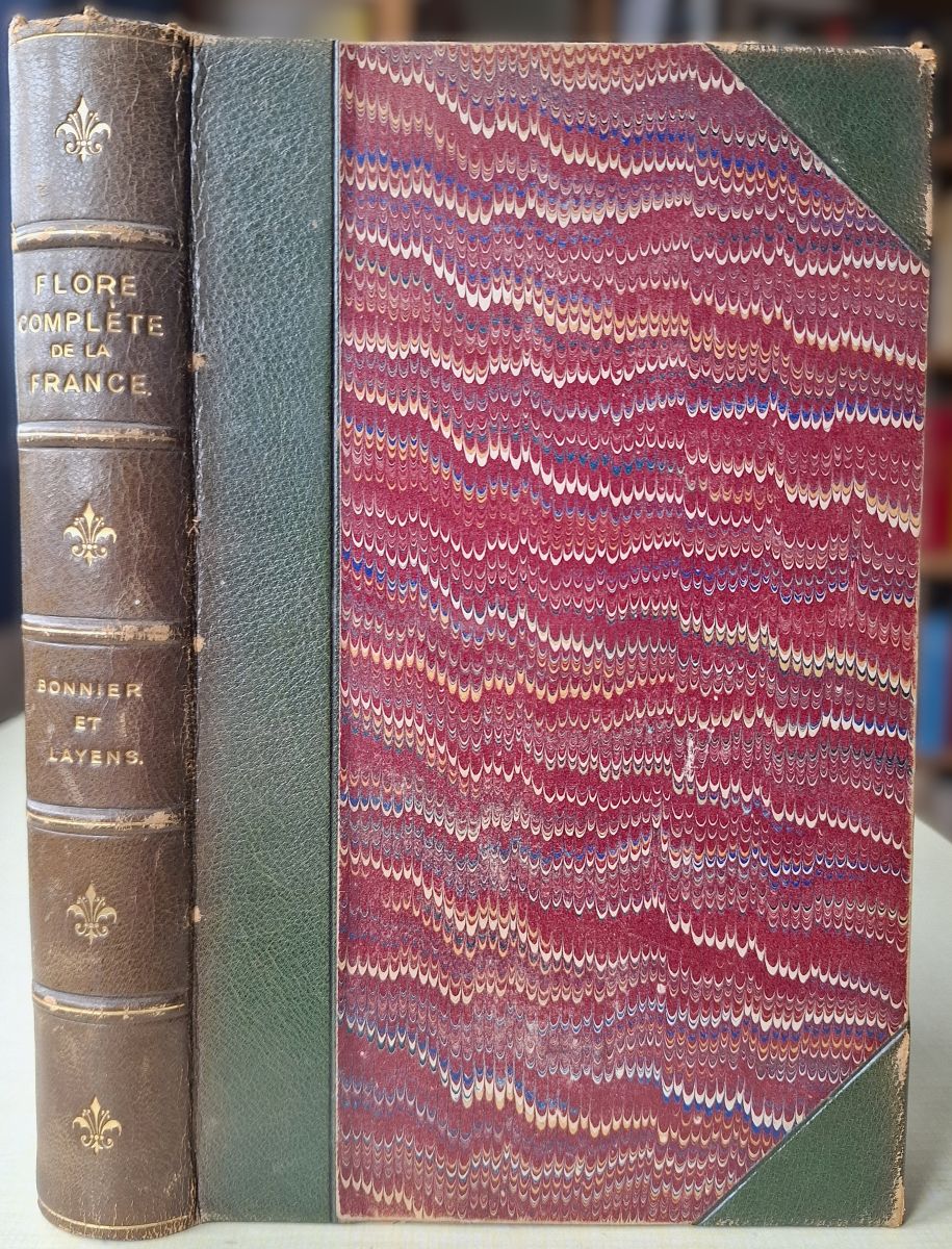 Tableaux Synoptiques des Plantes Vasculaire de la Flore de la France