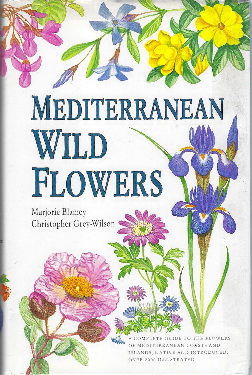 Mediterranean Wild Flowers