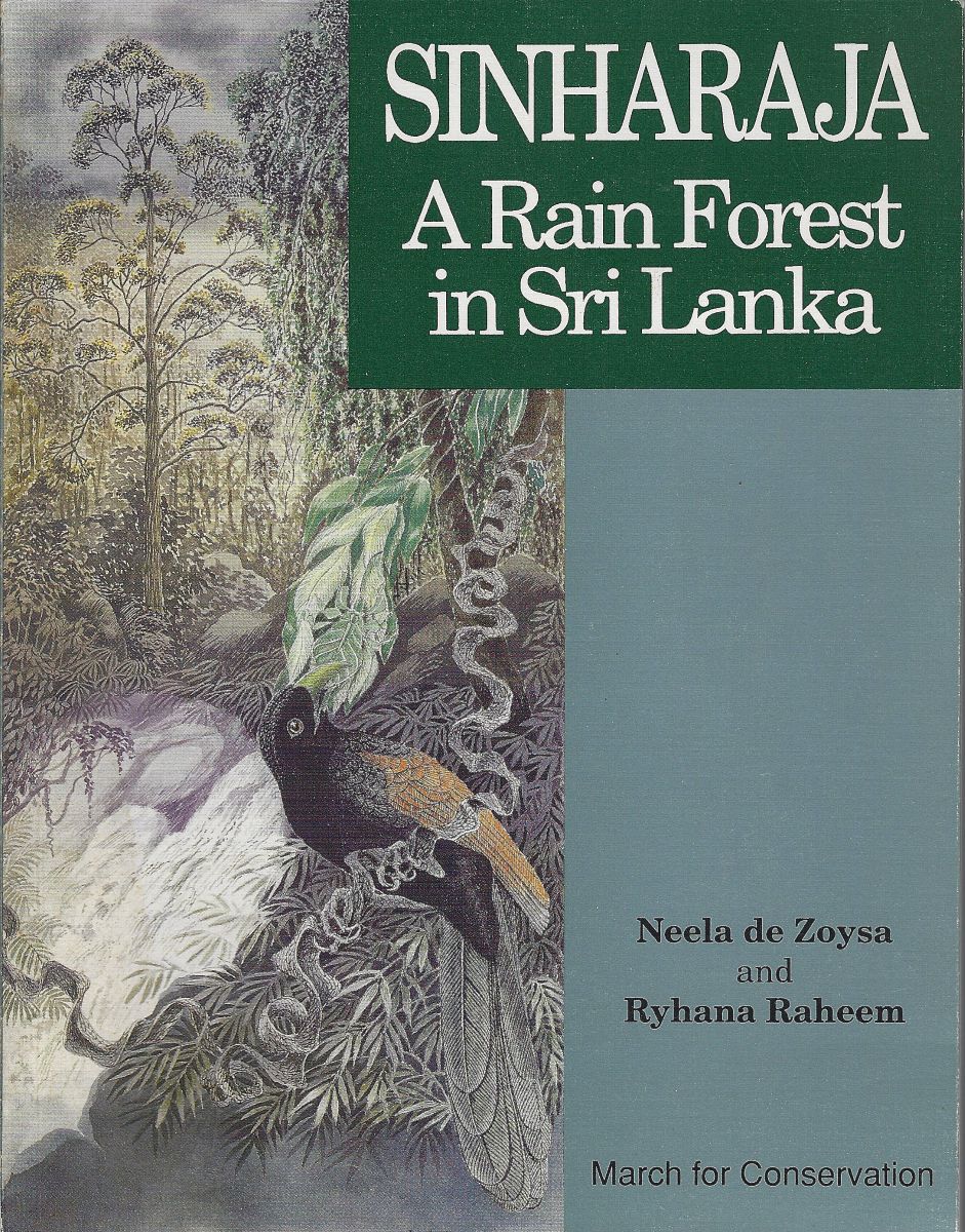 Image for Sinharaja - A Rain Forest in Sri Lanka Sinharaja - A Rain Forest in Sri Lanka