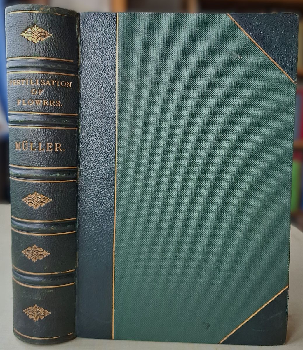 Image for The Fertilisation of Flowers, with a preface by Charles Darwin The Fertilisation of Flowers, with a preface by Charles Darwin