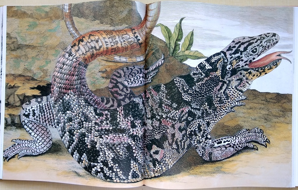 Voyages of Discovery: Three centuries of natural history exploration