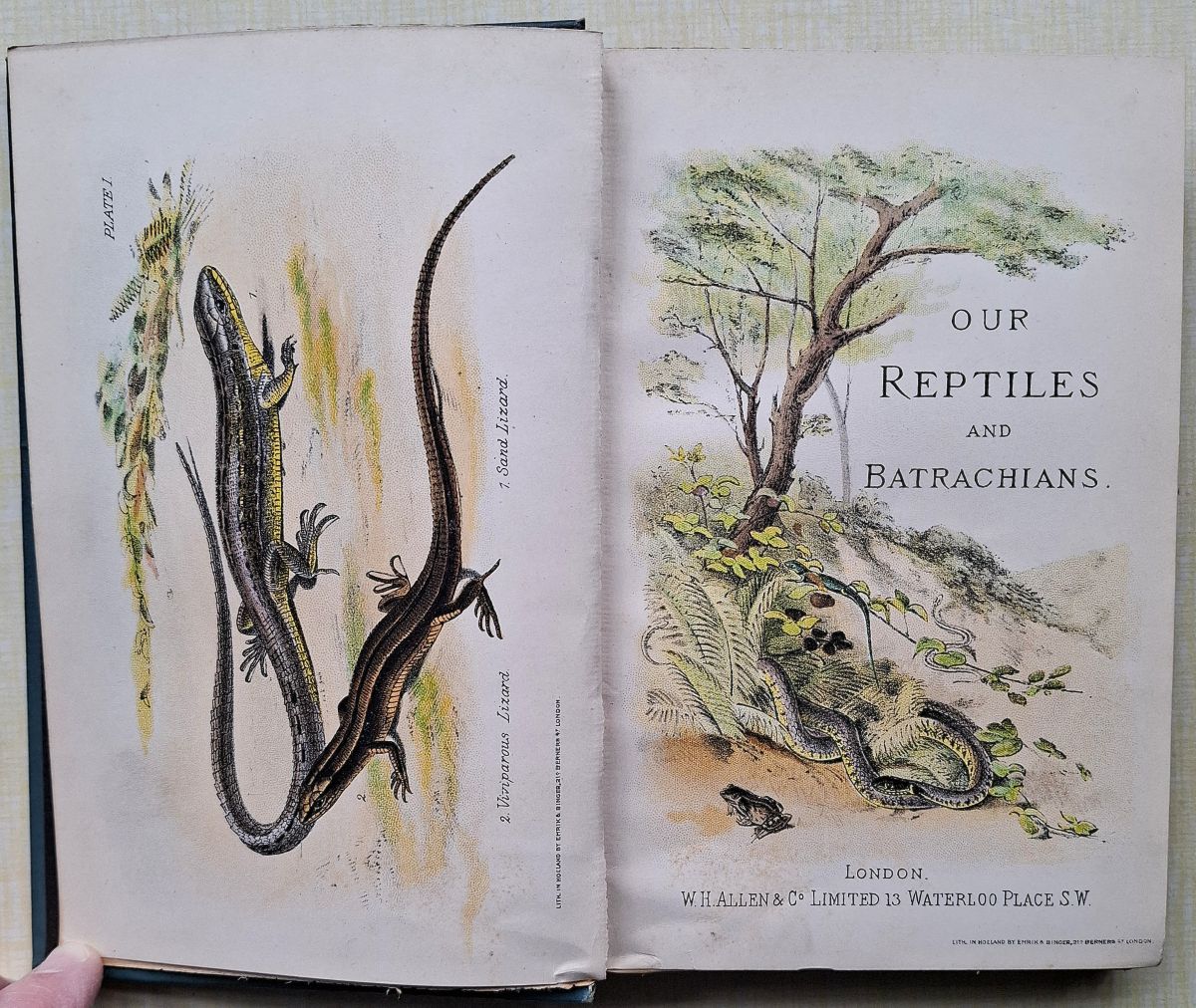Our Reptiles and Batrachians - a plain and easy account of the lizards, snakes, newts, toads, frogs and tortoises indigenous to Great Britain