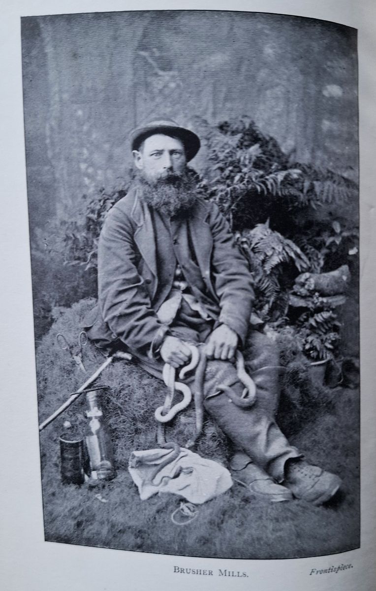 Image for The New Forest - its traditions, inhabitants and customs The New Forest - its traditions, inhabitants and customs