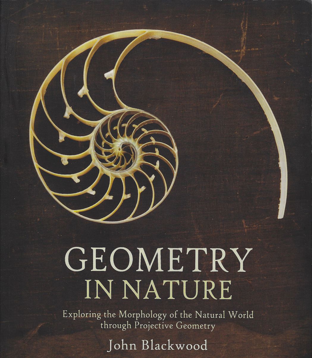 Geometry in Nature - exploring the morphology of the natural world through projective geometry