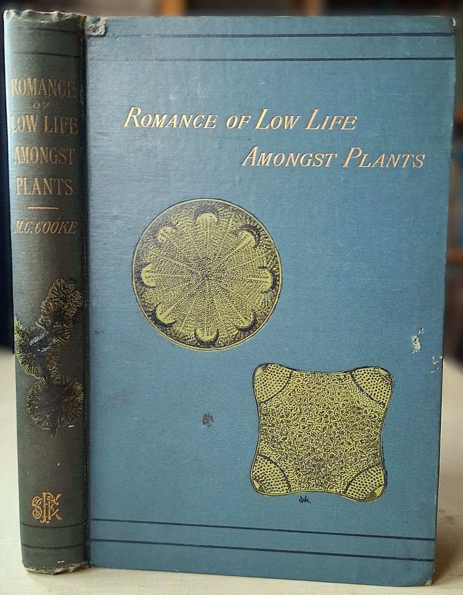 Romance of Low Life Amongst Plants - facts and phenomena of cryptogamic vegetation