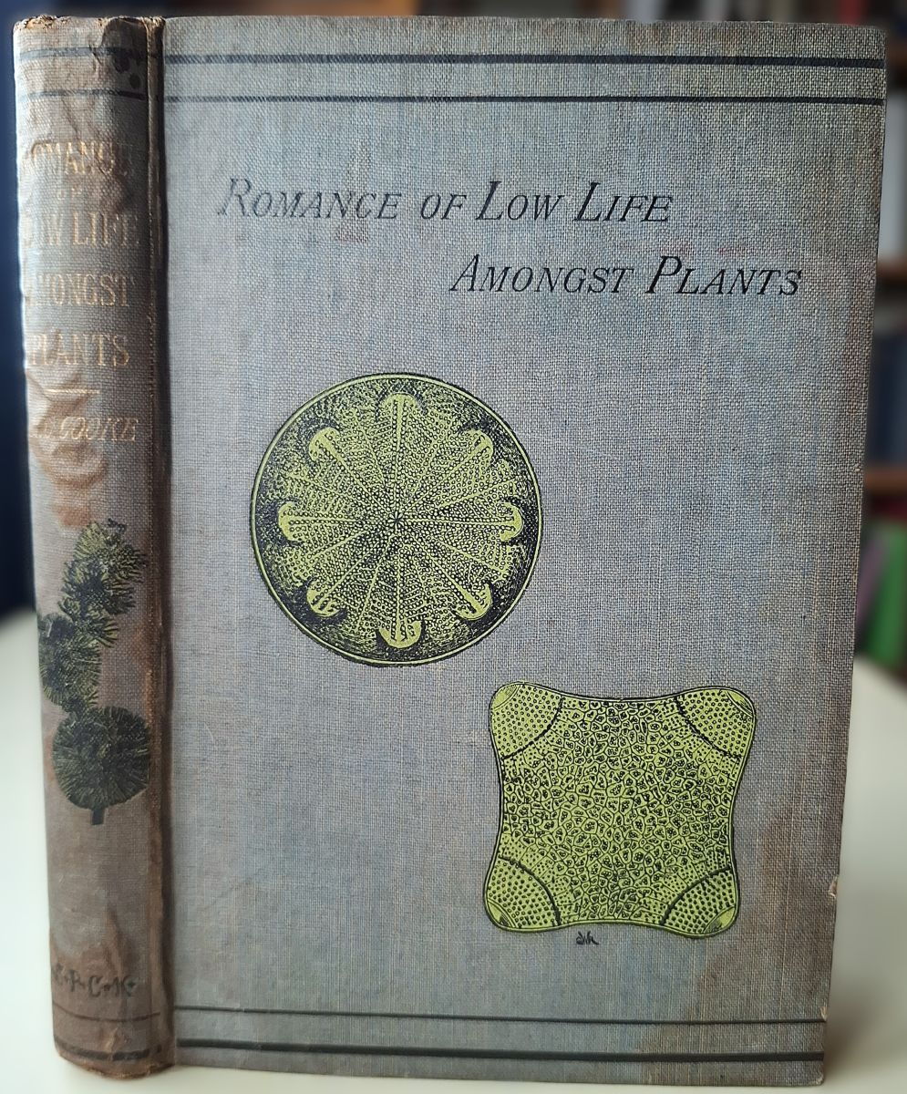 Romance of Low Life Amongst Plants - facts and phenomena of cryptogamic vegetation