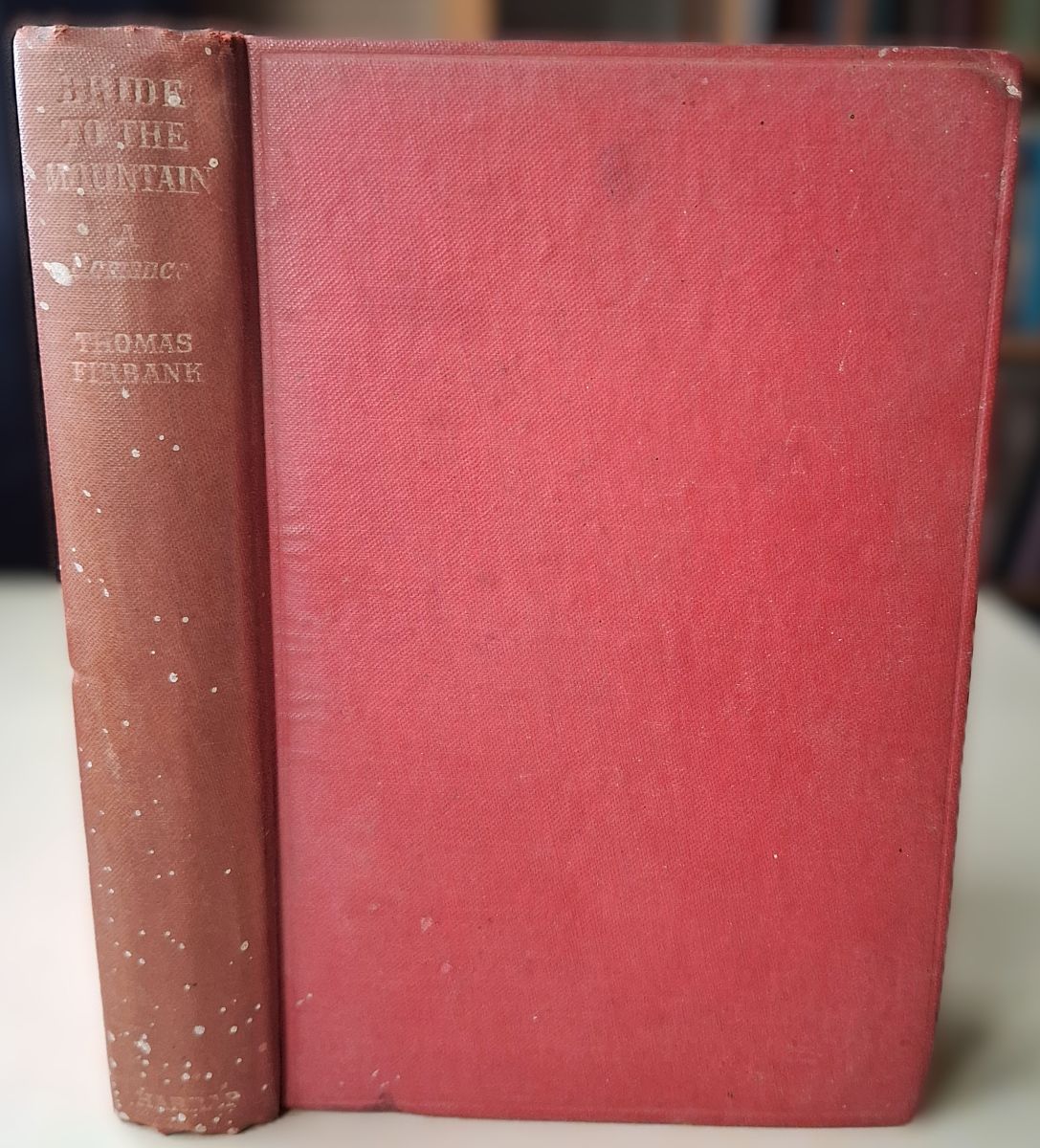 Bride to the Mountain - a romance