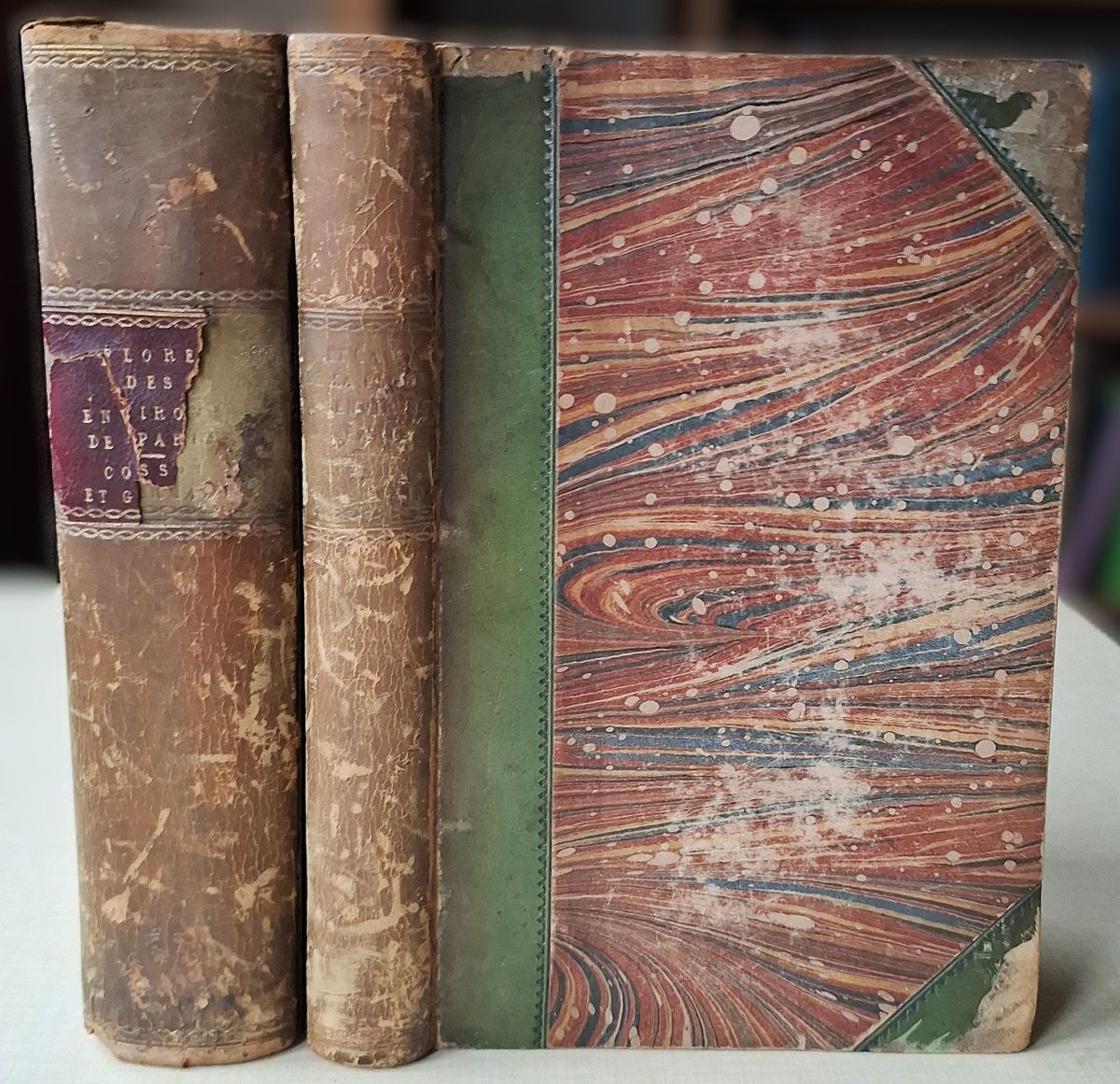 Flore Descriptive et Analytique des Environs de Paris, ou description des plantes que croissant spontanement dans cette region