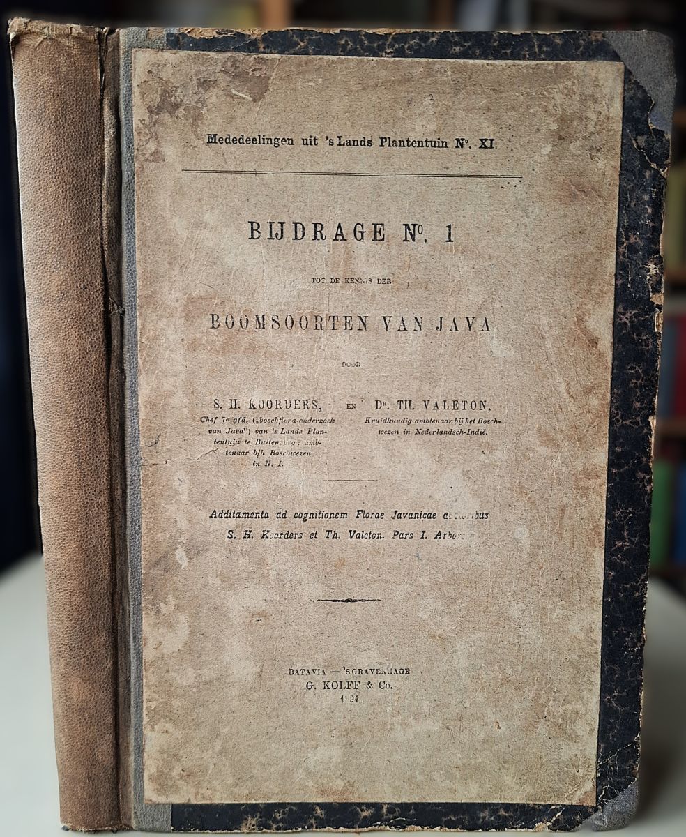 Additamenta ad Cognitionem Florae Javanicae Pars I - Arbores. [Bijdrage No. I tot de kennis der Boomsorten van Java