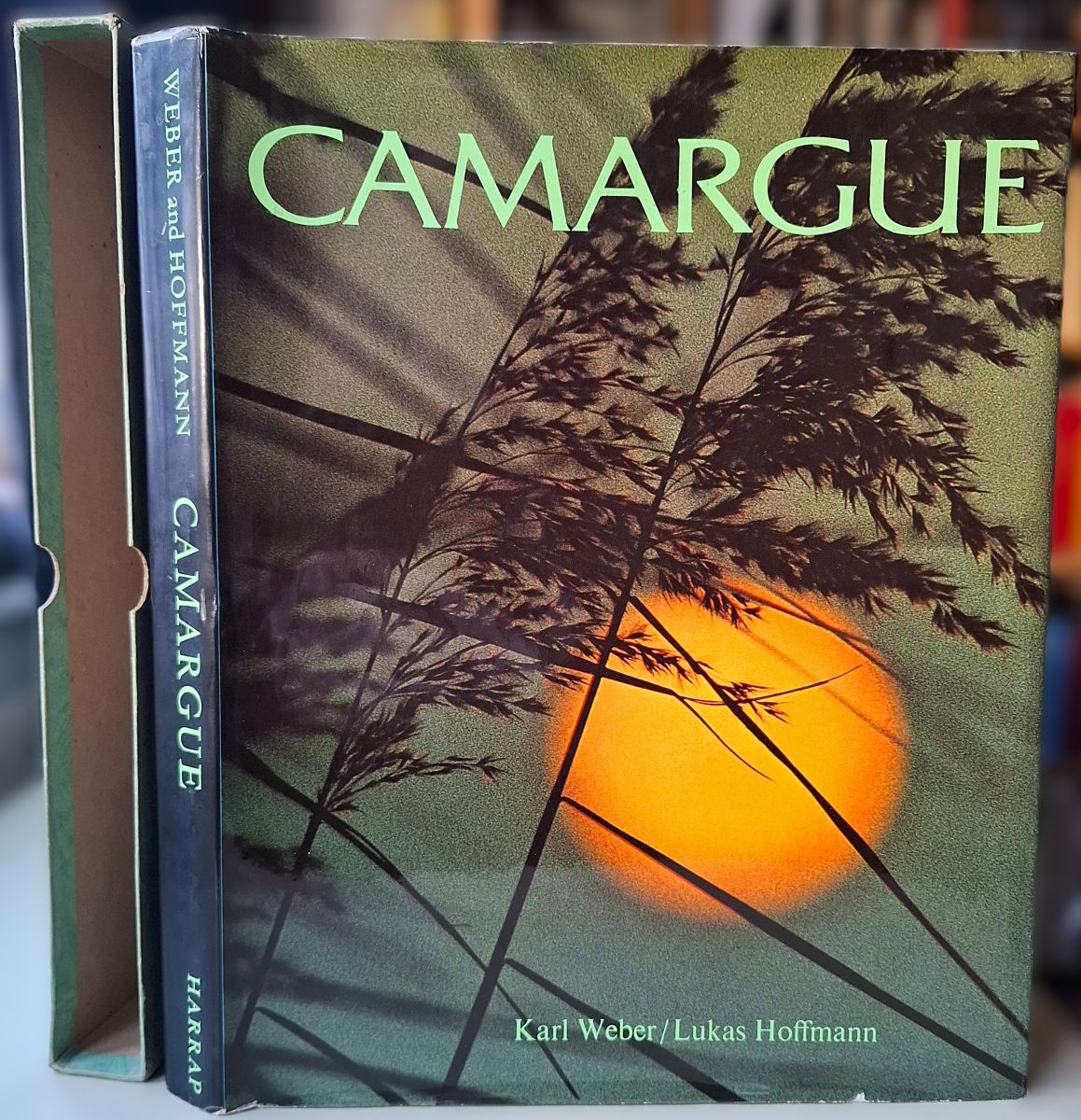 Camargue - the Soul of a Wilderness