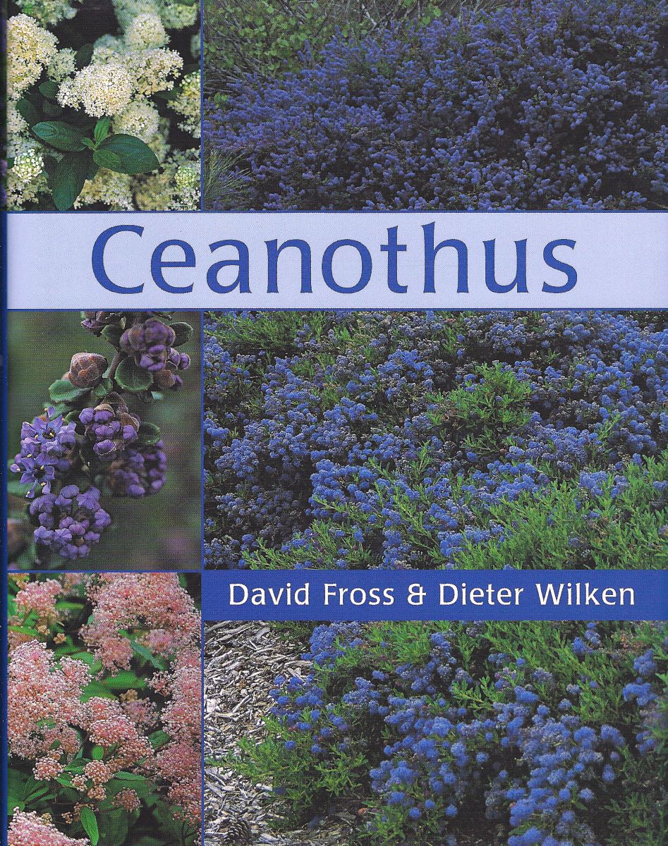 Ceanothus