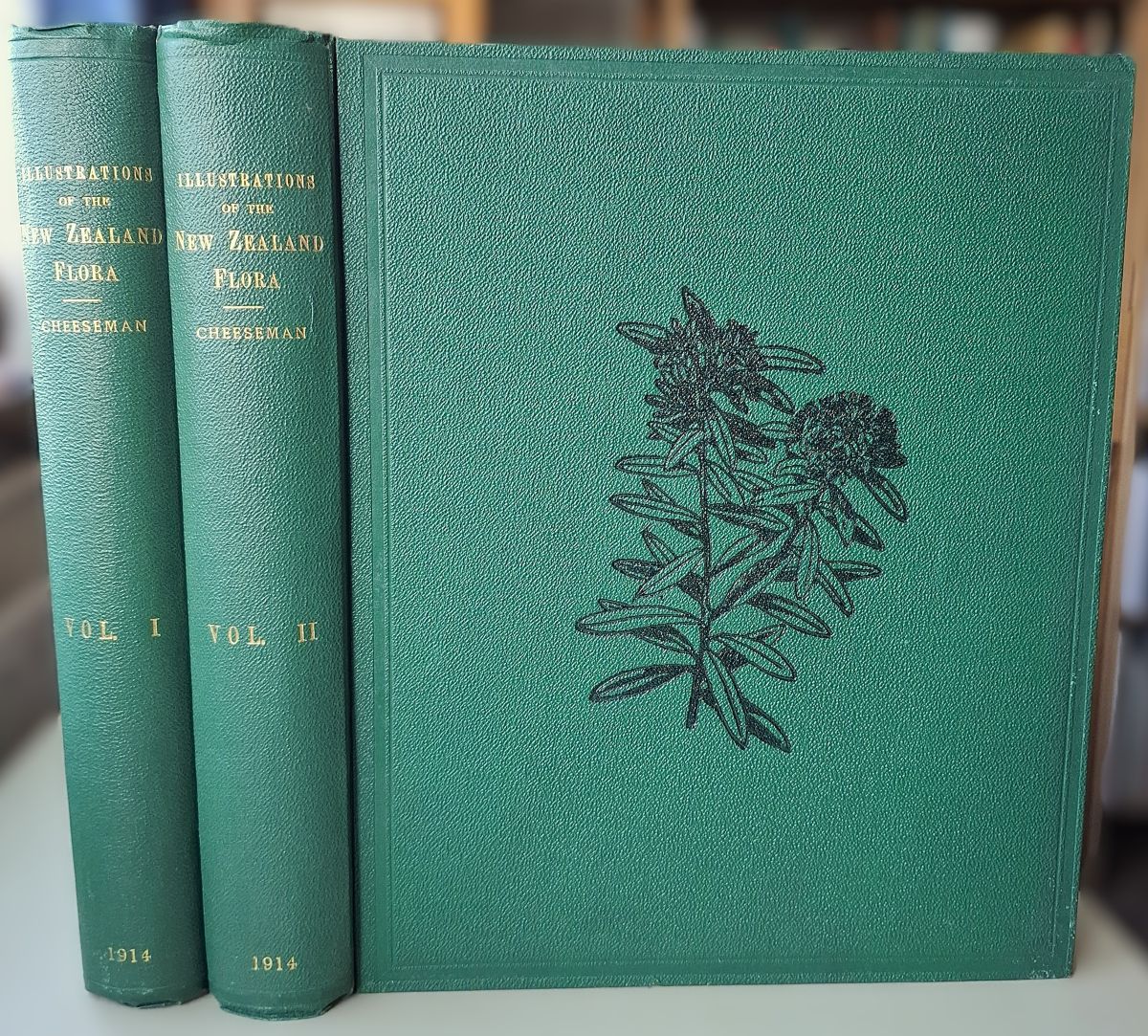 Illustrations of the New Zealand Flora