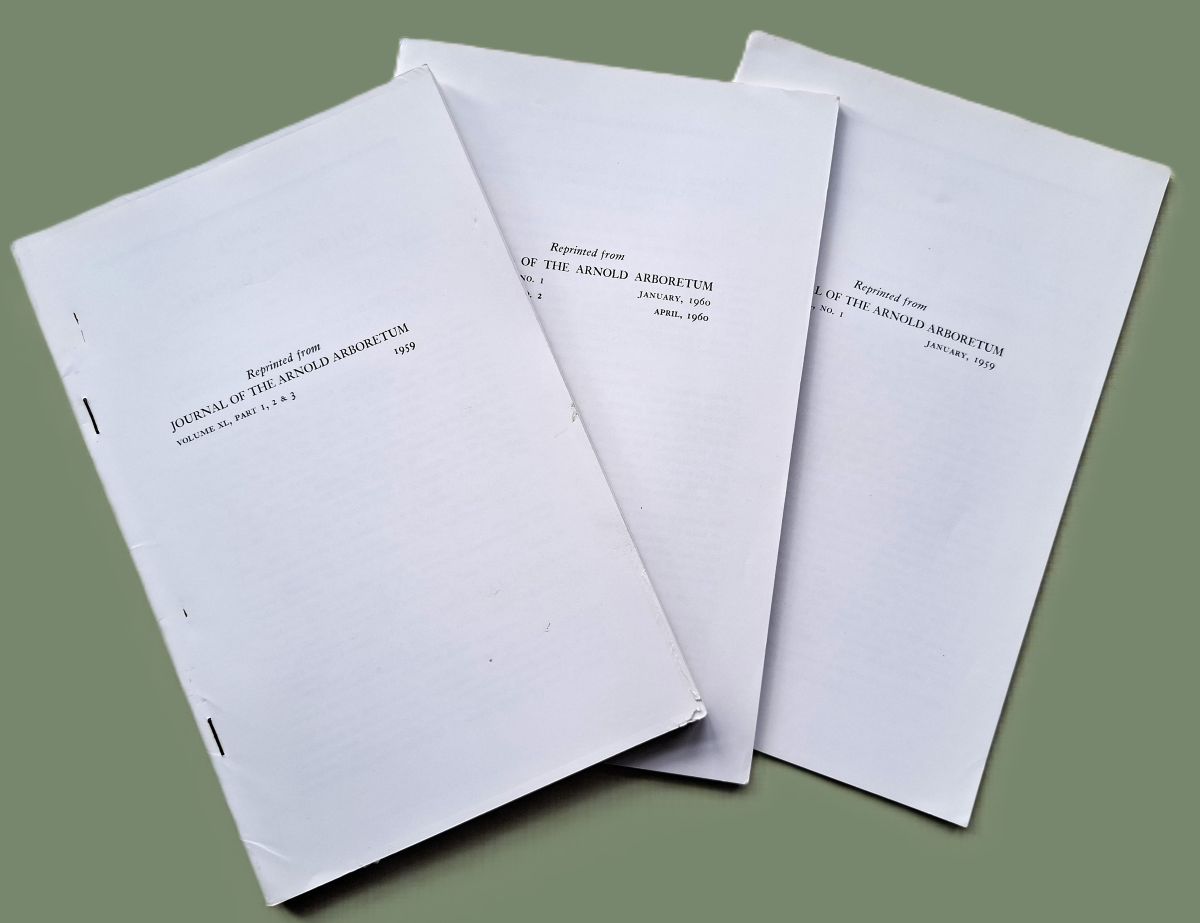 Studies in Artocarpus and Allied Genera - Parts I, III & IV