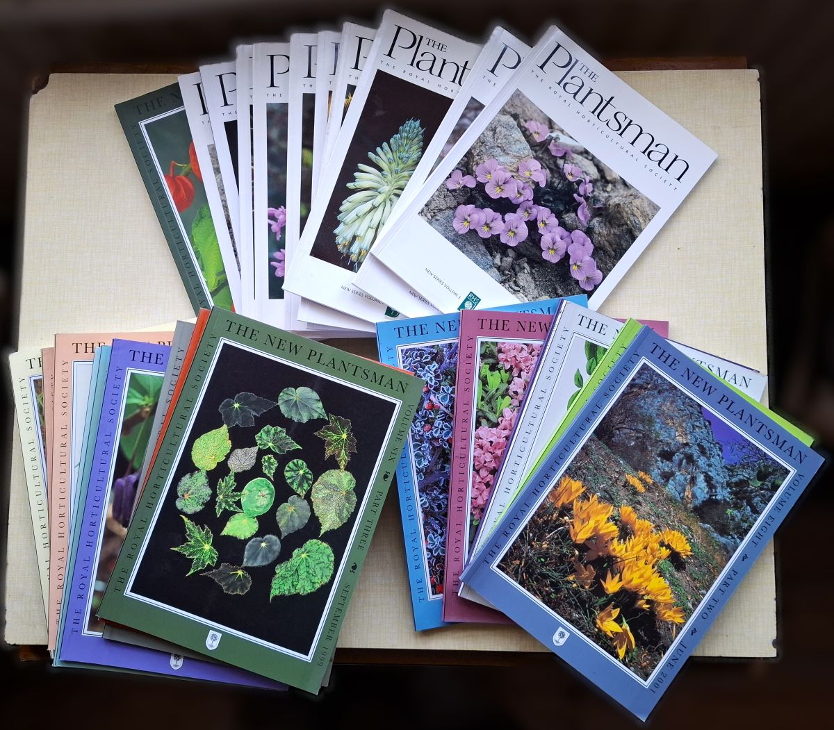 The New Plantsman; The Plantsman (New Series. 26 parts