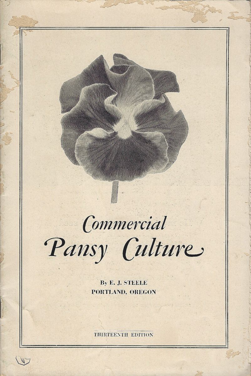Commercial Pansy Culture