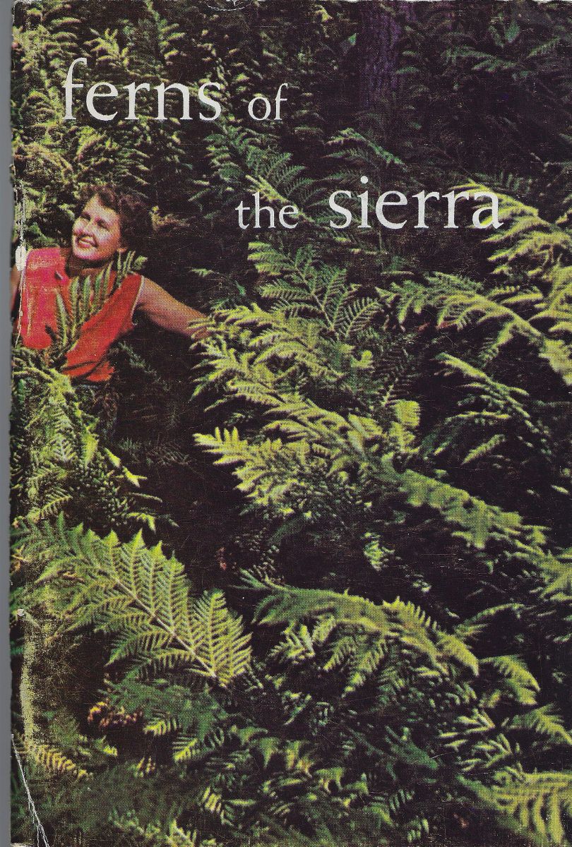 Ferns of the Sierra