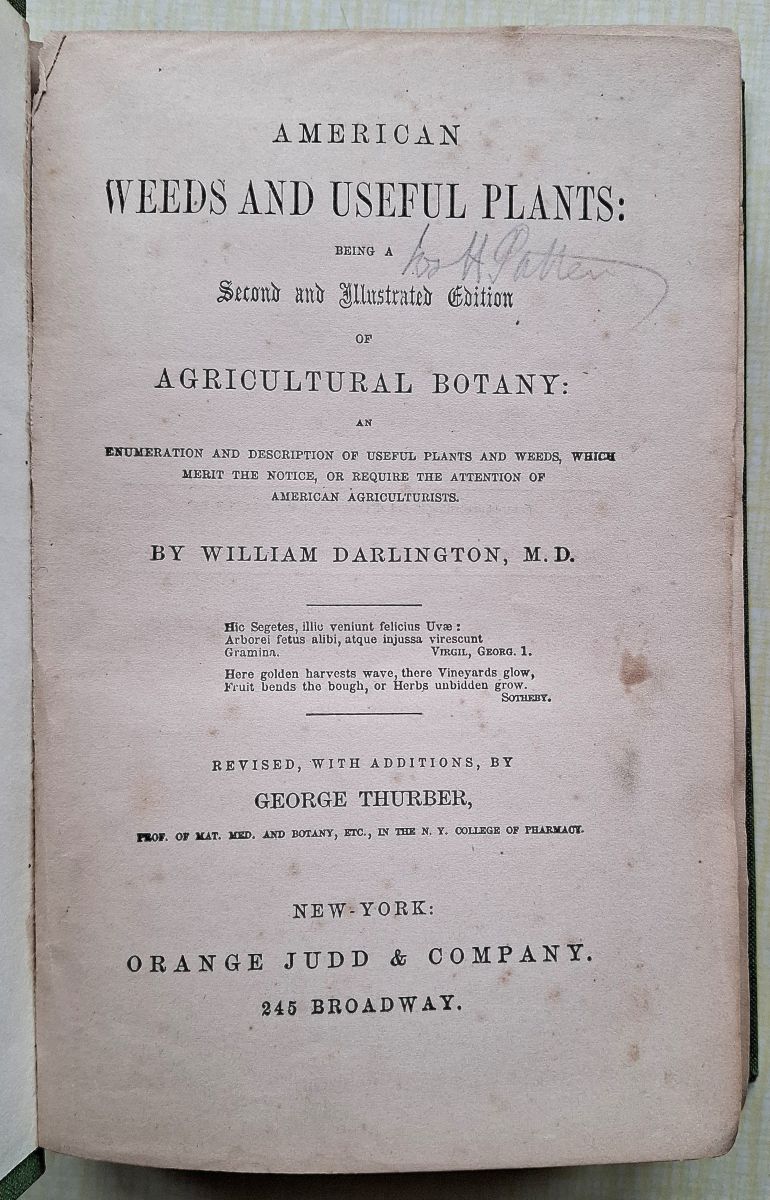 Image for American Weeds and Useful Plants: being a second and illustrated edition of Agricultural Botany American Weeds and Useful Plants: being a second and illustrated edition of Agricultural Botany