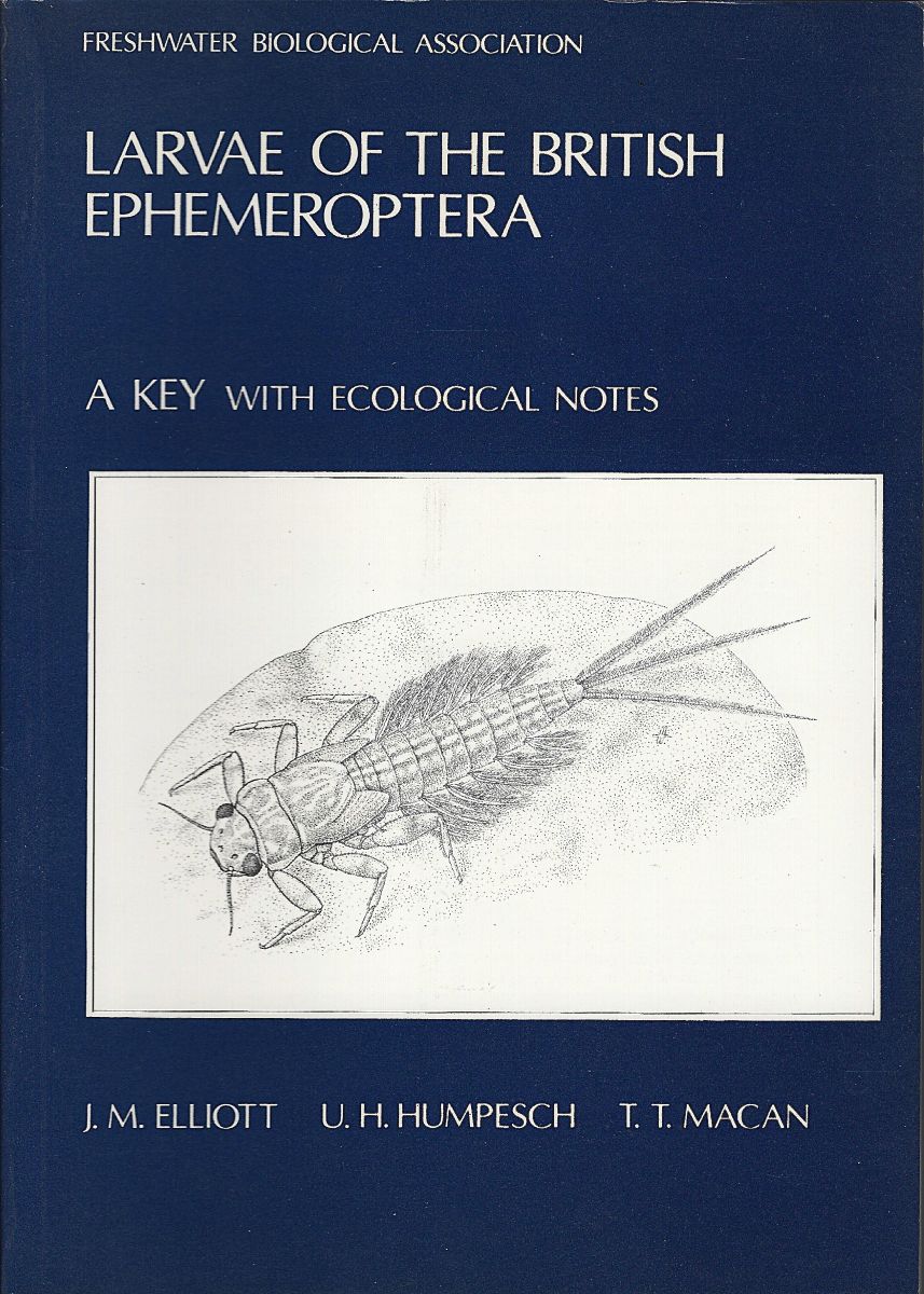 Image for Larvae of the British Ephemeroptera - a key with ecological notes Larvae of the British Ephemeroptera - a key with ecological notes