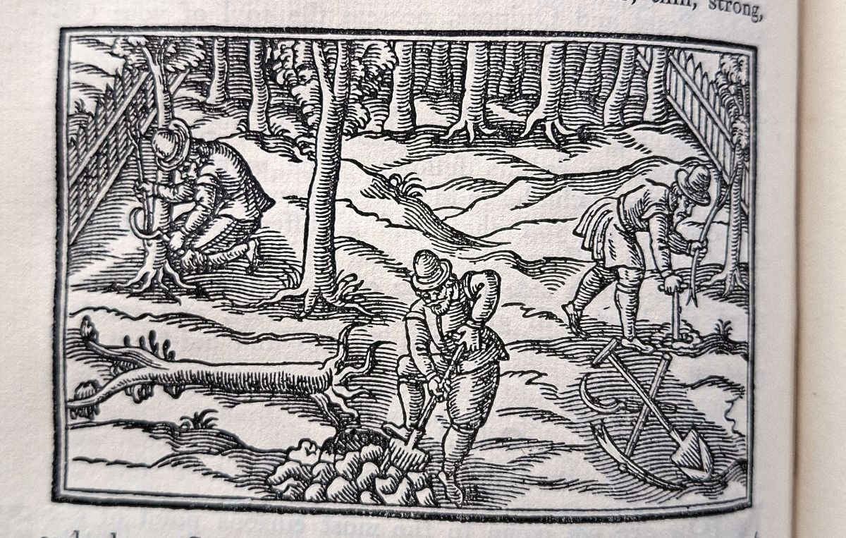 A New Orchard & Garden: or the Best Way for Planting, Graffing and to make any Ground good for a Rich Orchard: Particularly in the North etc. With the Country Housewife's Garden for Herbs of Common Use etc; also The Husbandry of Bees etc