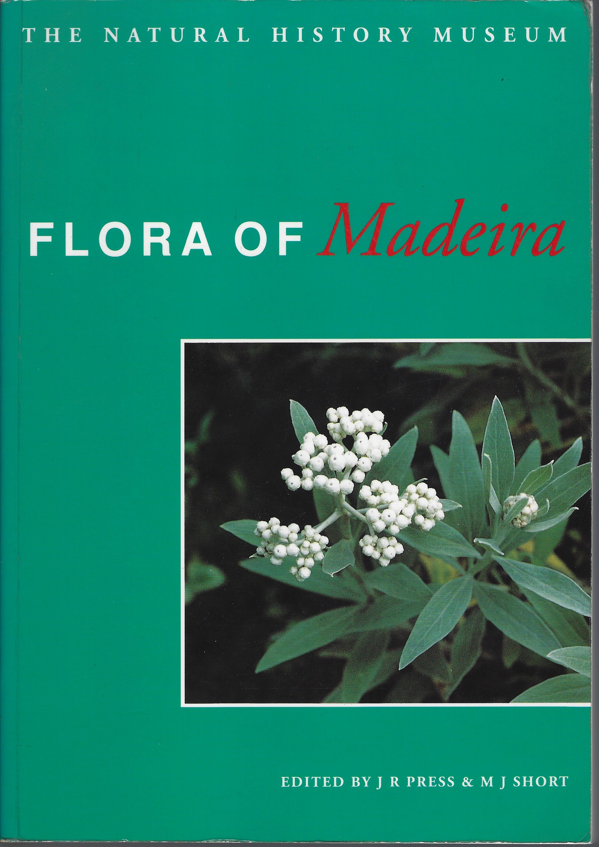 Image for Flora of Madeira Flora of Madeira